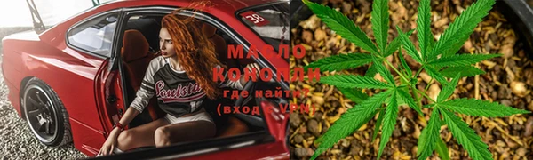 дмт Абаза