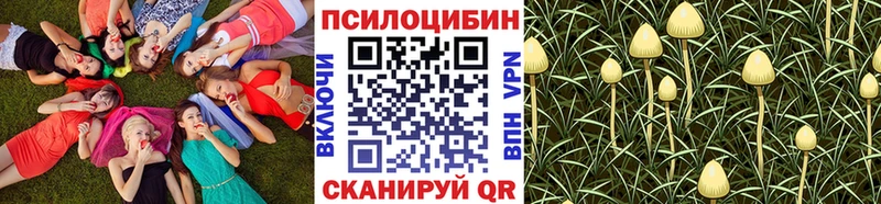 Галлюциногенные грибы GOLDEN TEACHER  mega ссылки  Власиха 